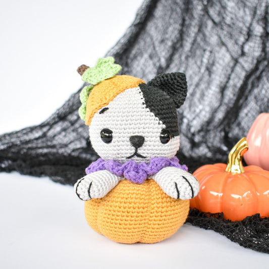 Claude the Halloween Kitty