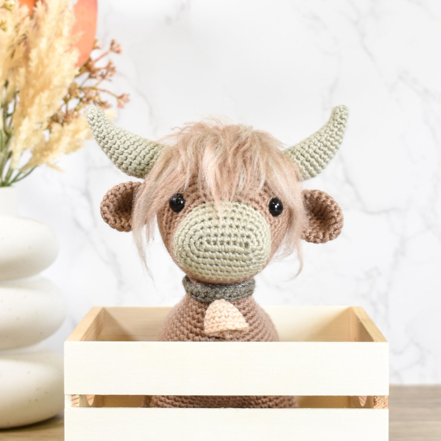 Haye the Highland Cow