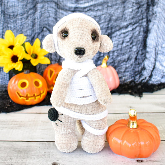 Meerkat Mummy